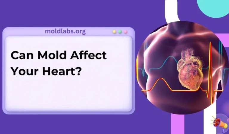 Can Mold Affect Your Heart