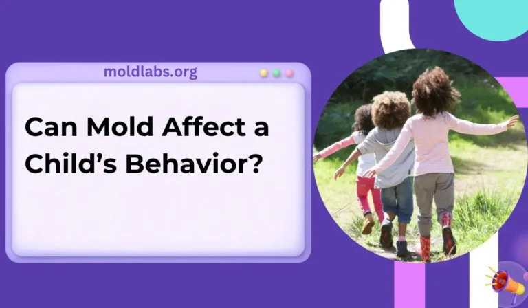 Can Mold Affect a Child's Behavior