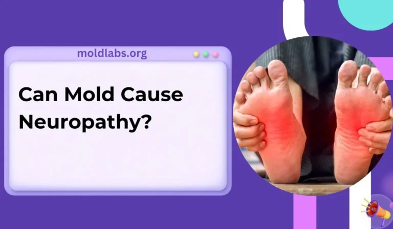 Can Mold Cause Neuropathy