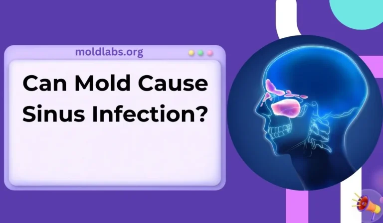 Can Mold Cause Sinus Infection?