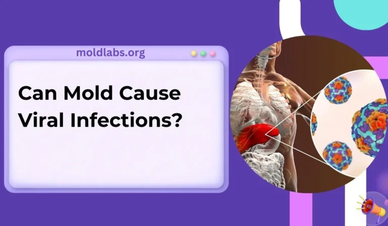 Can Mold Cause Viral Infections