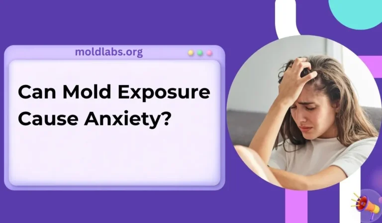 Can Mold Exposure Cause Anxiety