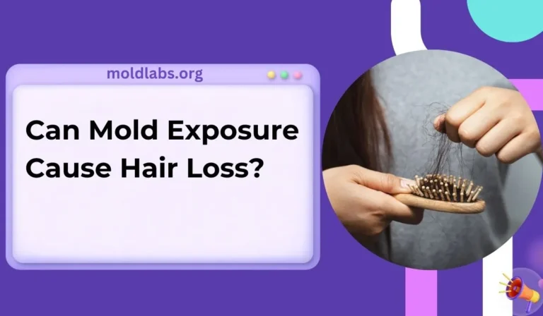 Can Mold Exposure Cause Hair Loss