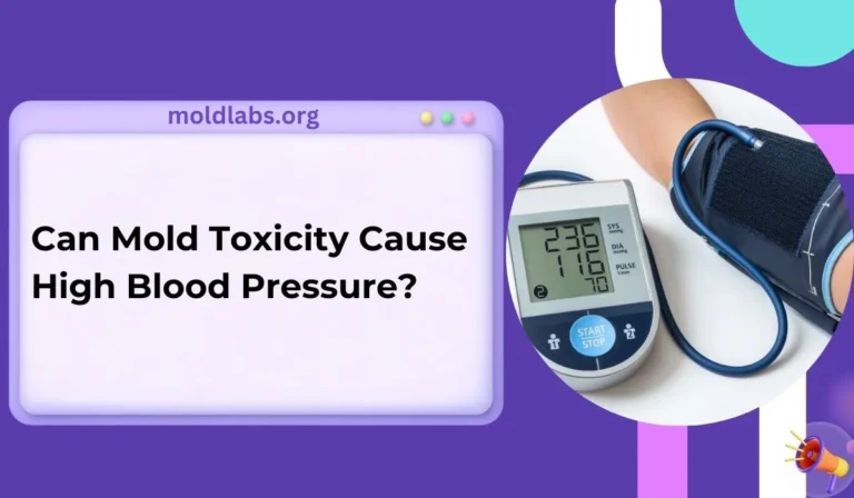 Can Mold Toxicity Cause High Blood Pressure