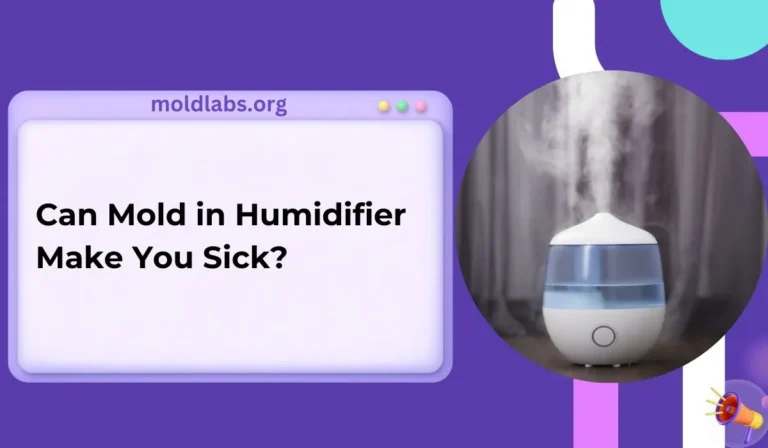 Can Mold in Humidifier Make You Sick