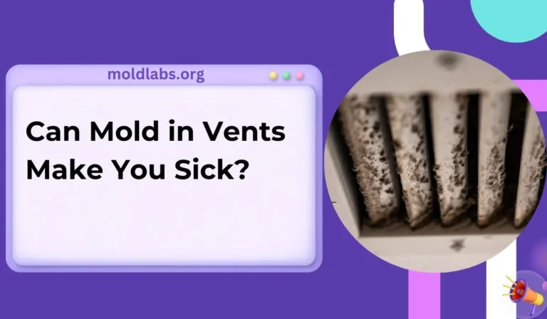 Can Mold in Vents Make You Sick