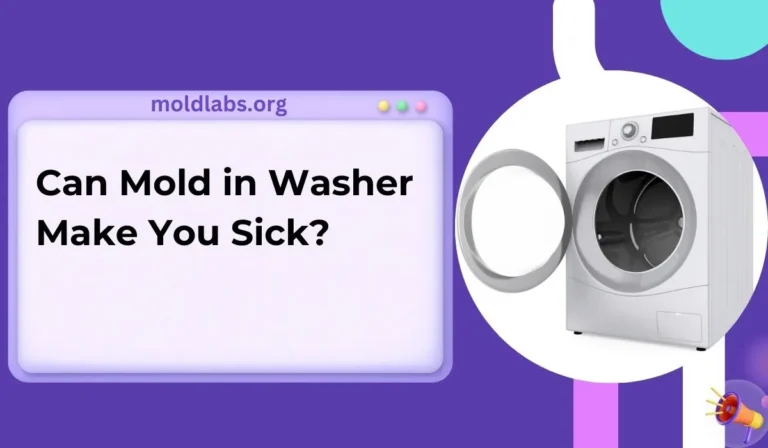 Can Mold in Washer Make You Sick