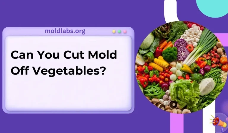 Can You Cut Mold Off Vegetables