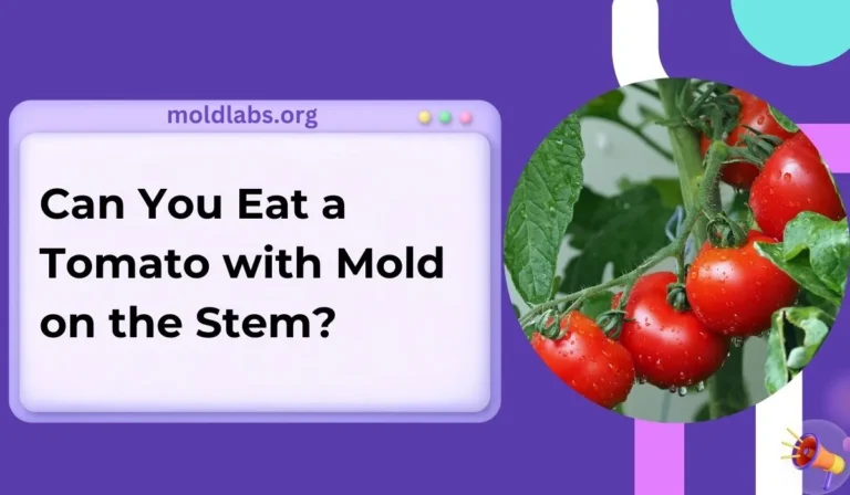 Can You Eat a Tomato with Mold on the Stem