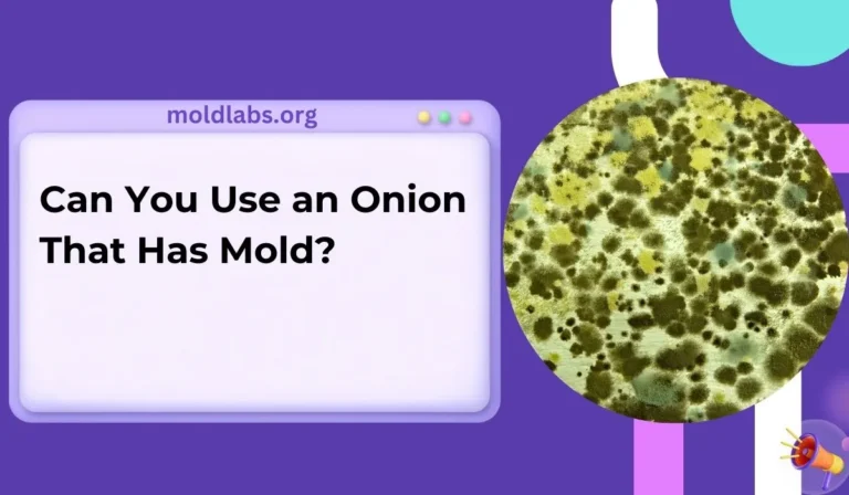 Can You Use an Onion That Has Mold