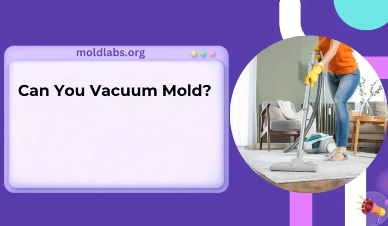 Can You Vacuum Mold