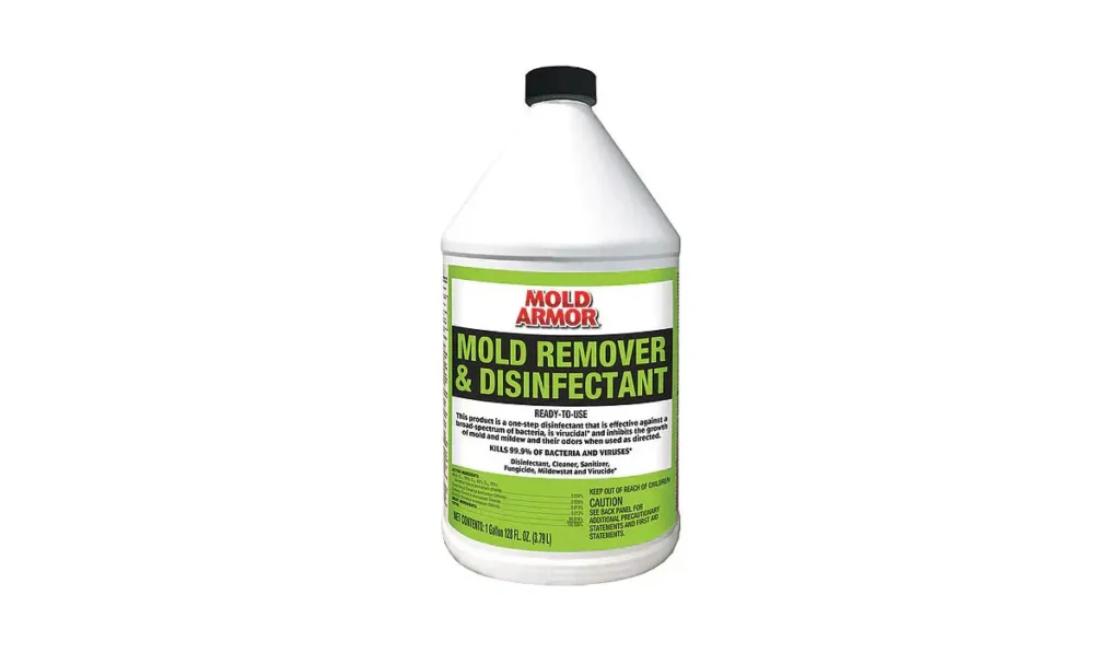 Comparing Mold Armor to Bleach
