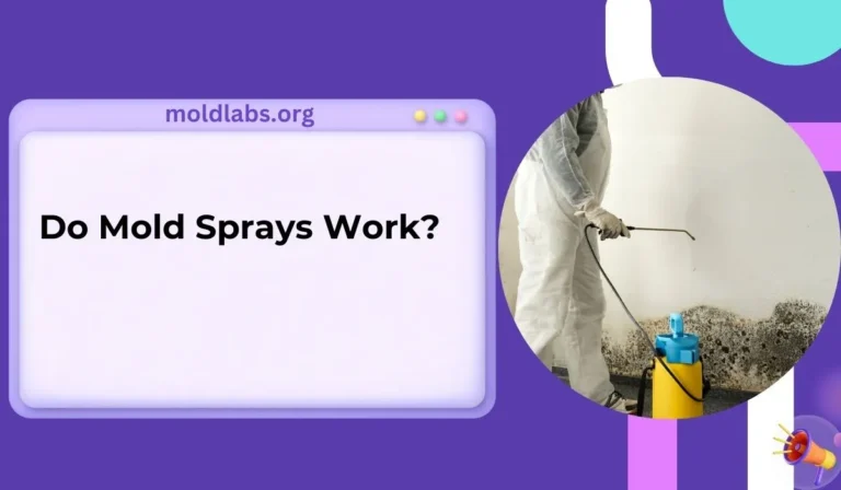 Do Mold Sprays Work