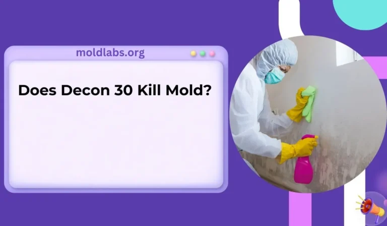 Does Decon 30 Kill Mold