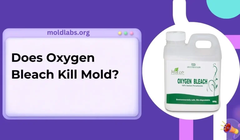 Does Oxygen Bleach Kill Mold