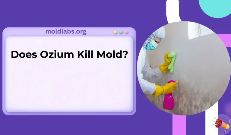 Does Ozium Kill Mold