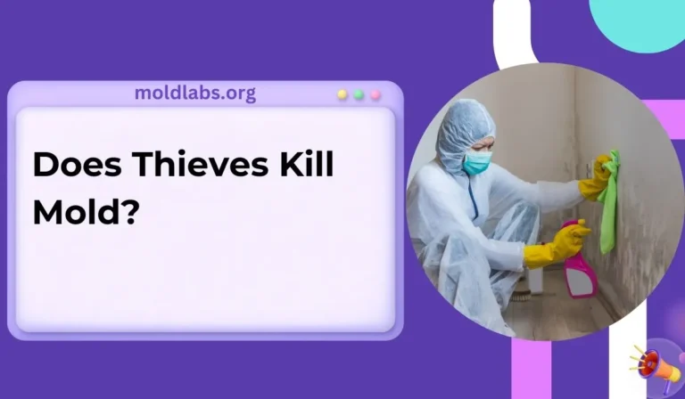 Does Thieves Kill Mold