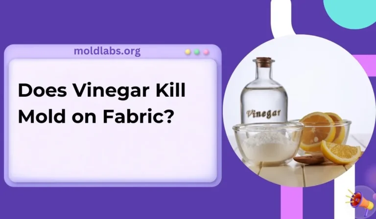 Does Vinegar Kill Mold on Fabric