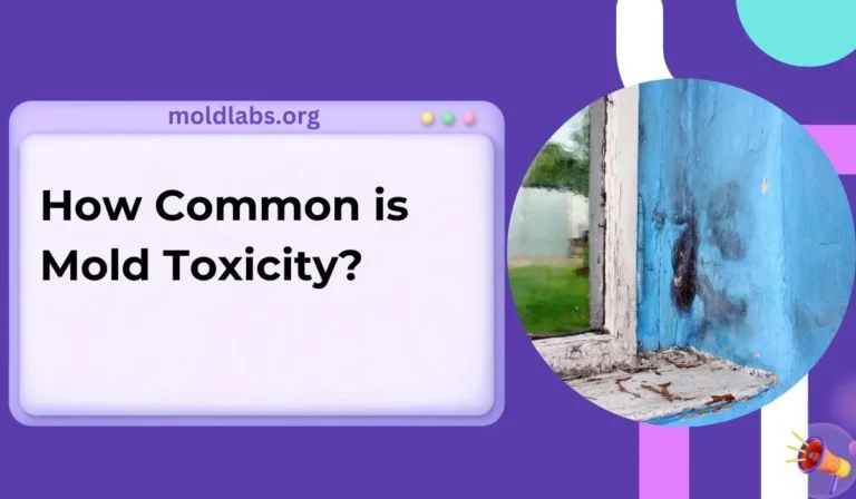 How Common is Mold Toxicity