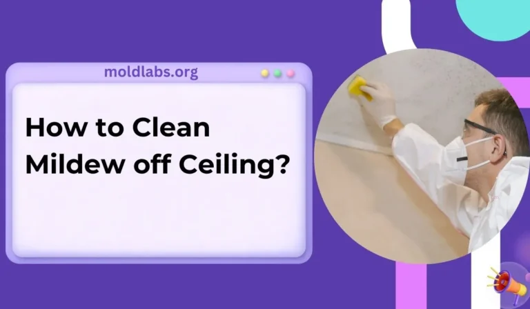 How to Clean Mildew off Ceiling