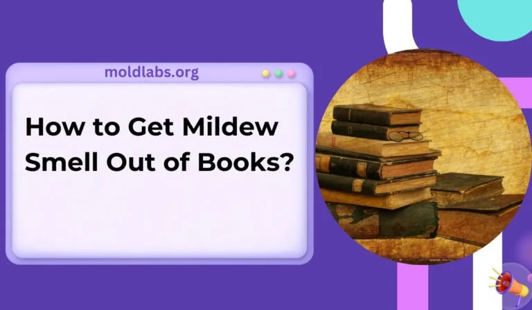 How to Get Mildew Smell Out of Books