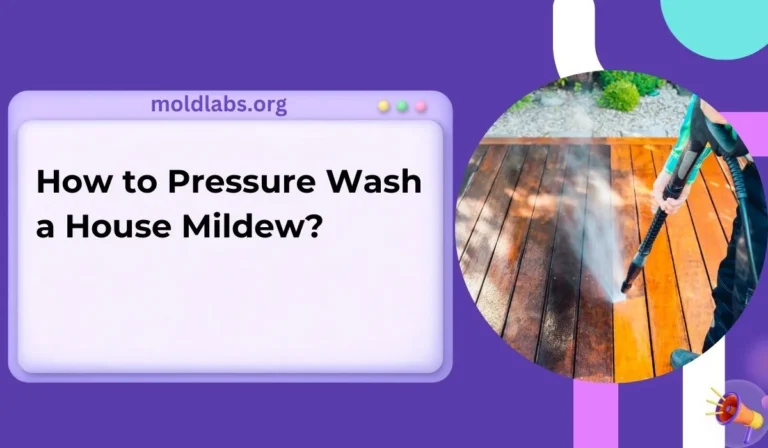 How to Pressure Wash a House Mildew