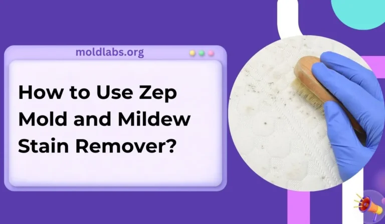 How to Use Zep Mold and Mildew Stain Remover