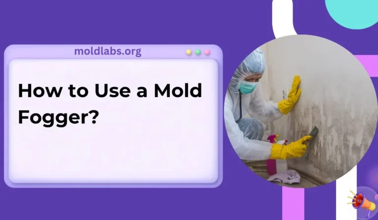 How to Use a Mold Fogger