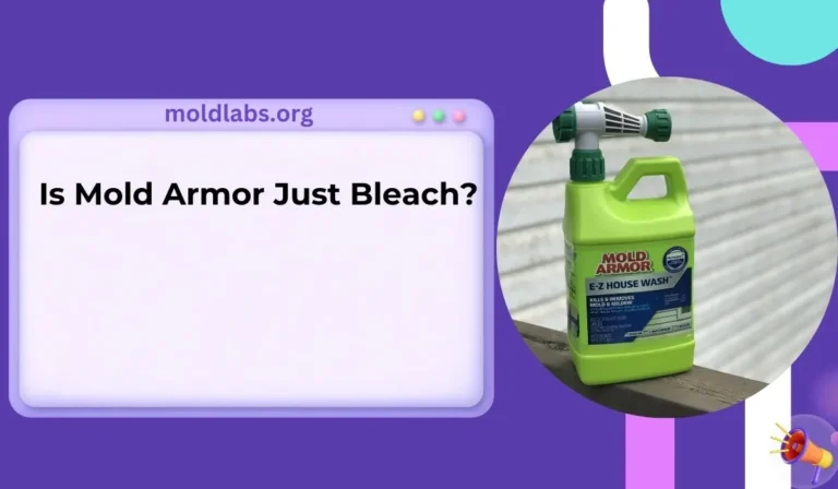 Is Mold Armor Just Bleach