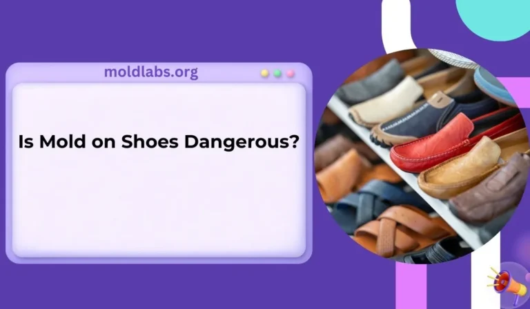 Is Mold on Shoes Dangerous