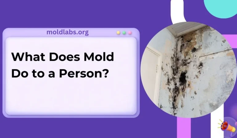 What Does Mold Do to a Person