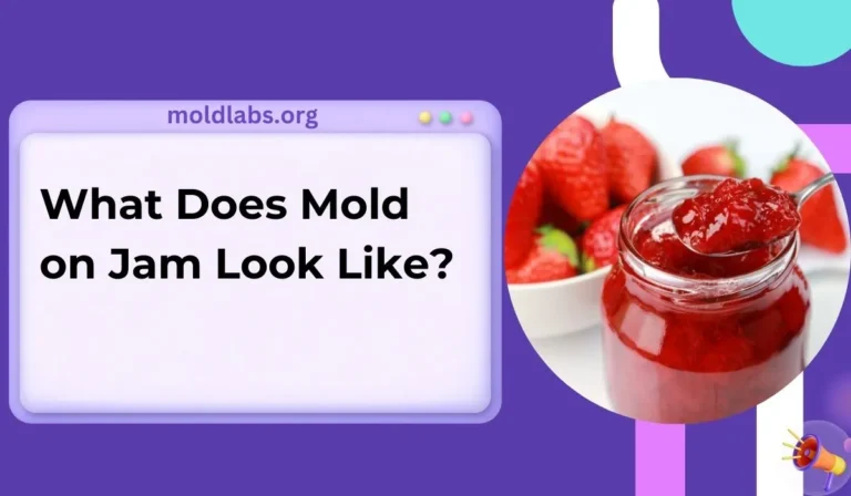 What Does Mold on Jam Look Like